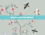 币安的cvv是什么-