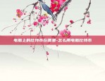 比特币的开创者有哪些名字-比特币创造者