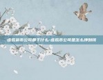 虚拟货币公司都干什么-虚拟币公司是怎么挣到钱