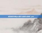 虚拟货币中的pos是什么意思-虚拟币 pos