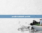 pet是什么虚拟货币-pet代币