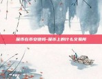 屎币在币安链吗-屎币上的什么交易所