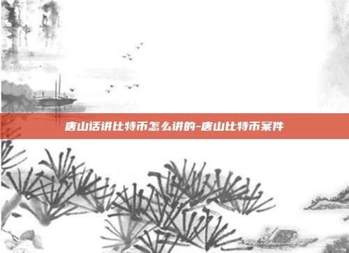 唐山话讲比特币怎么讲的-唐山比特币案件