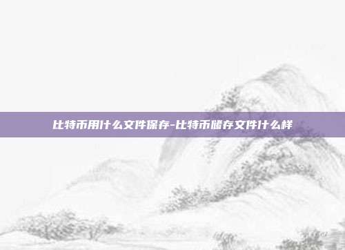 比特币用什么文件保存-比特币储存文件什么样