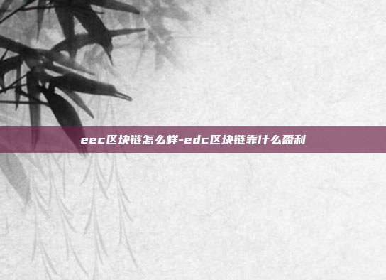 eec区块链怎么样-edc区块链靠什么盈利