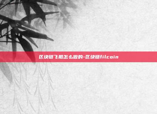 区块链飞船怎么做的-区块链filcoin