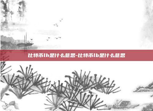 比特币lh是什么意思-比特币lb是什么意思