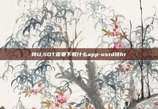 转U,SDT需要下载什么app-ustd转ht