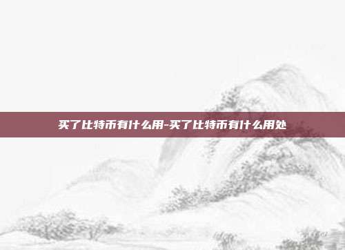 买了比特币有什么用-买了比特币有什么用处