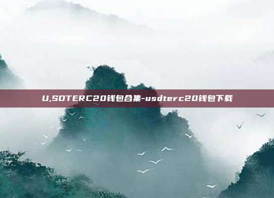 U,SDTERC20钱包合集-usdterc20钱包下载