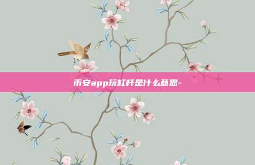 币安app玩杠杆是什么意思-