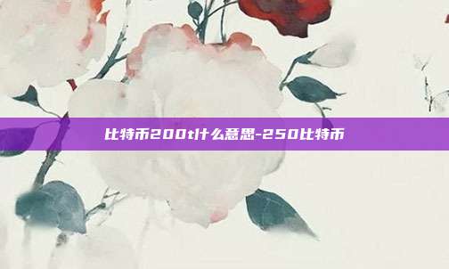 比特币200t什么意思-250比特币