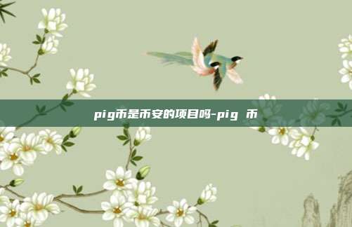 pig币是币安的项目吗-pig 币