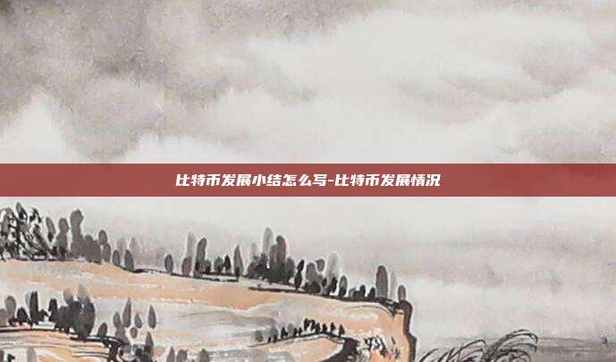 比特币发展小结怎么写-比特币发展情况