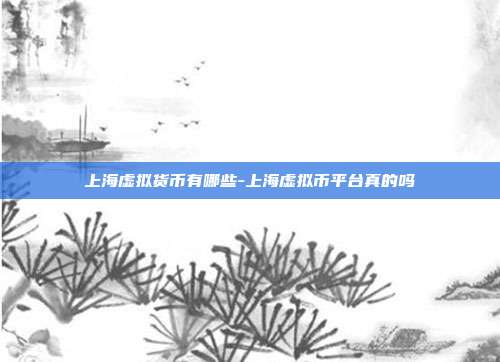 上海虚拟货币有哪些-上海虚拟币平台真的吗