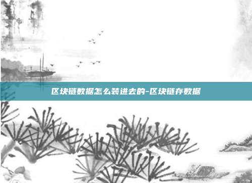 区块链数据怎么装进去的-区块链存数据