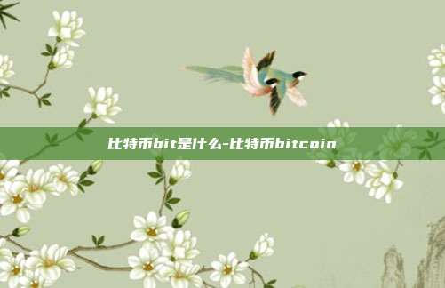 比特币bit是什么-比特币bitcoin