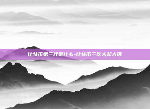 比特币第三代是什么-比特币三次大起大落