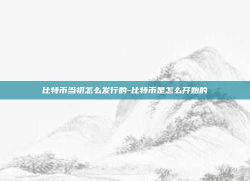 比特币当初怎么发行的-比特币是怎么开始的