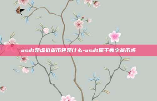 usdt是虚拟货币还是什么-usdt属于数字货币吗