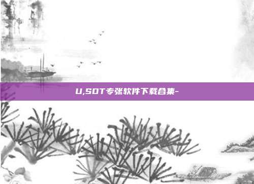 U,SDT专张软件下载合集-