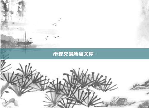 币安交易所被关停-