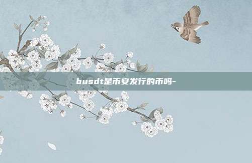 busdt是币安发行的币吗-