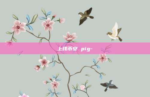 上线币安 pig-