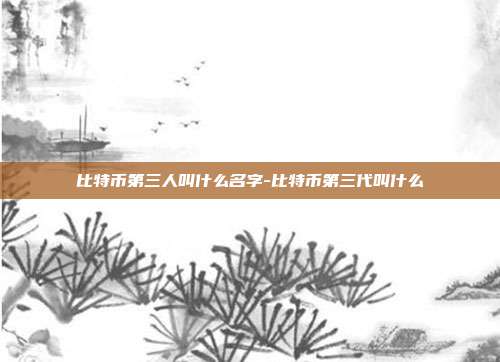 比特币第三人叫什么名字-比特币第三代叫什么