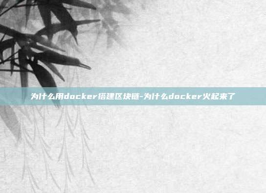 为什么用docker搭建区块链-为什么docker火起来了