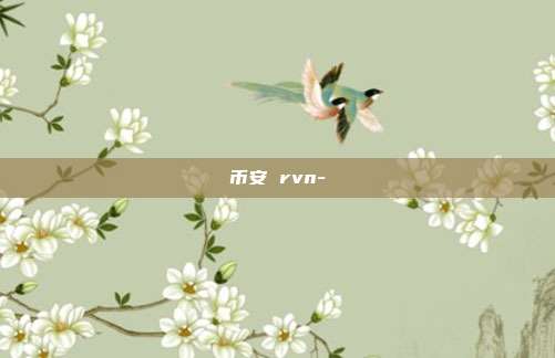 币安 rvn-