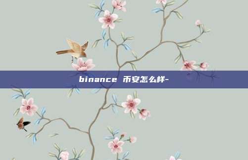 binance 币安怎么样-