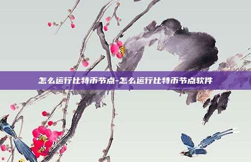 怎么运行比特币节点-怎么运行比特币节点软件