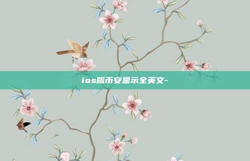 ios版币安显示全英文-