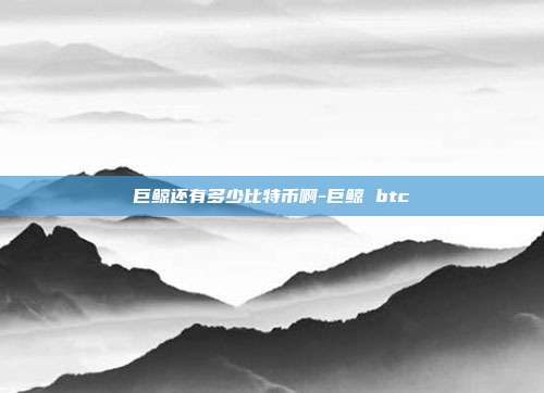 巨鲸还有多少比特币啊-巨鲸 btc