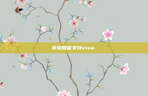 币安智能支持visa-