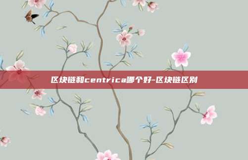 区块链和centrica哪个好-区块链区别