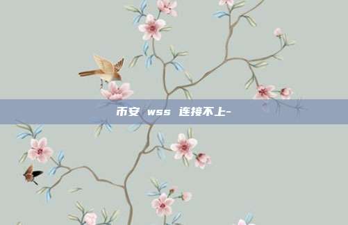 币安 wss 连接不上-