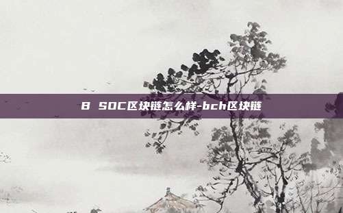 B SOC区块链怎么样-bch区块链