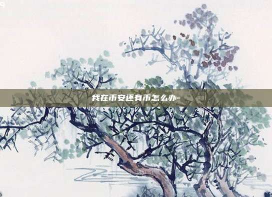 我在币安还有币怎么办-