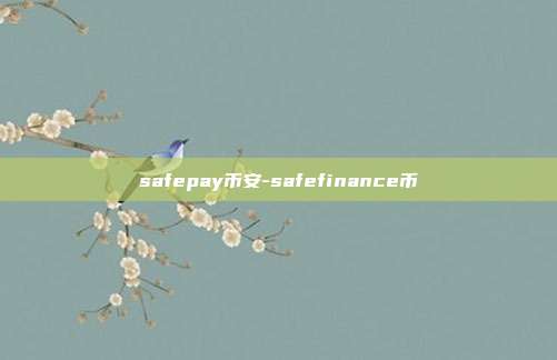 safepay币安-safefinance币