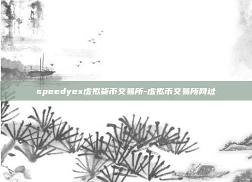 speedyex虚拟货币交易所-虚拟币交易所网址