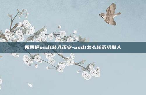 如何把usdt转入币安-usdt怎么转币给别人