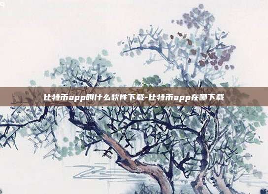 比特币app叫什么软件下载-比特币app在哪下载