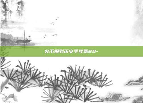 火币提到币安手续费20-