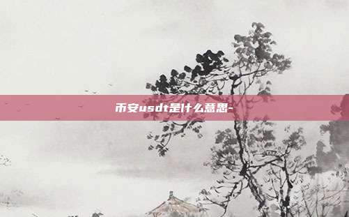 币安usdt是什么意思-