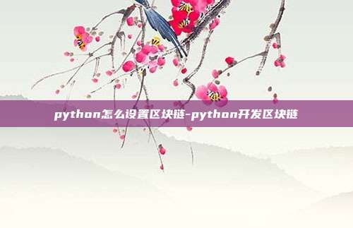 python怎么设置区块链-python开发区块链