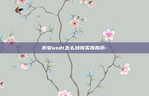 币安usdt怎么划转买狗狗币-