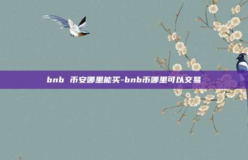 bnb 币安哪里能买-bnb币哪里可以交易