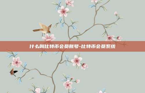 什么叫比特币会员账号-比特币会员系统